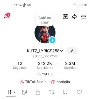 Conta Tiktok de Entretenimento com 212K+ Seguidores | Muito Ativa - Imagem Principal