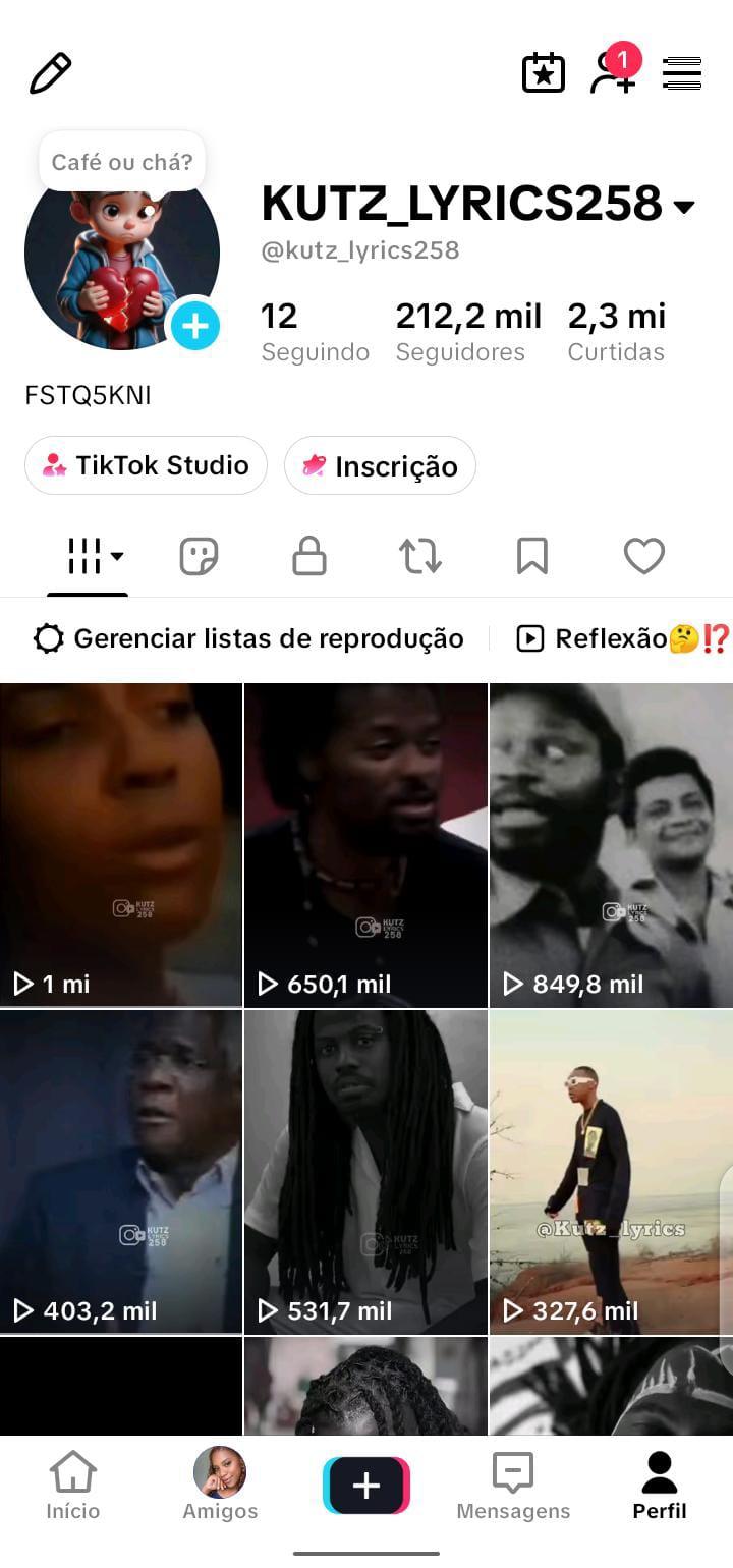 Conta Tiktok de Entretenimento com 212K+ Seguidores | Muito Ativa - Preview 10
