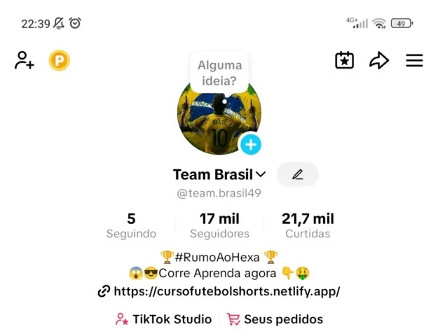 Conta Tiktok de Outros com 17K+ Seguidores | Alto Engajamento • Muito Ativa - Imagem Principal
