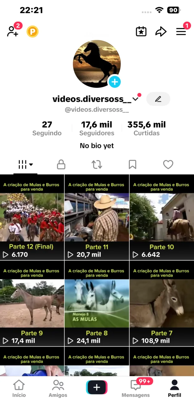 Conta Tiktok de Outros com 17K+ Seguidores | Alto Engajamento • Muito Ativa - Imagem Principal
