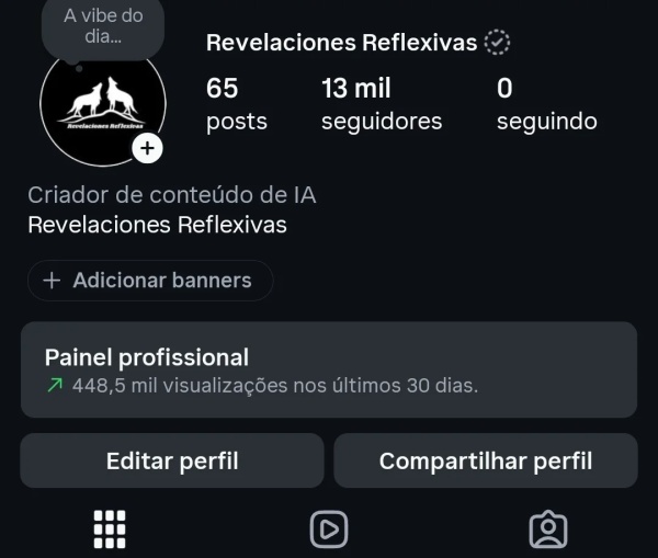 Conta Instagram de Outros com 13K+ Seguidores | Alto Engajamento • Muito Ativa