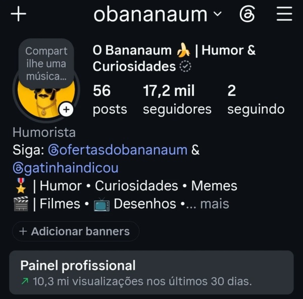 Conta Instagram de Outros com 17K+ Seguidores | Alto Engajamento • Muito Ativa