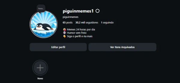 Conta Instagram de Humor com 30K+ Seguidores | Alto Engajamento • Muito Ativa