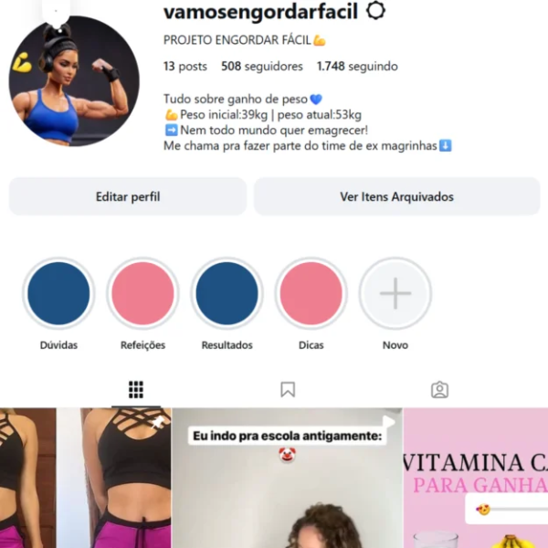 Conta Instagram de Outros com 508 Seguidores | Alto Engajamento • Muito Ativa