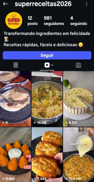 Conta Instagram de Culinária e Gastronomia com 954 Seguidores | Alto Engajamento • Muito Ativa