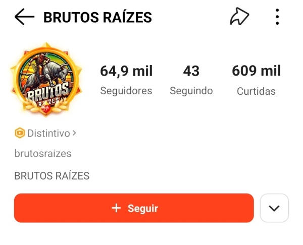 Conta Kwai de Outros com 64K+ Seguidores | Alto Engajamento • Muito Ativa