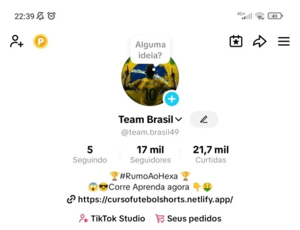 Conta Tiktok de Outros com 17K+ Seguidores | Alto Engajamento • Muito Ativa