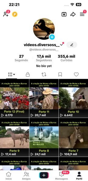 Conta Tiktok de Outros com 17K+ Seguidores | Alto Engajamento • Muito Ativa