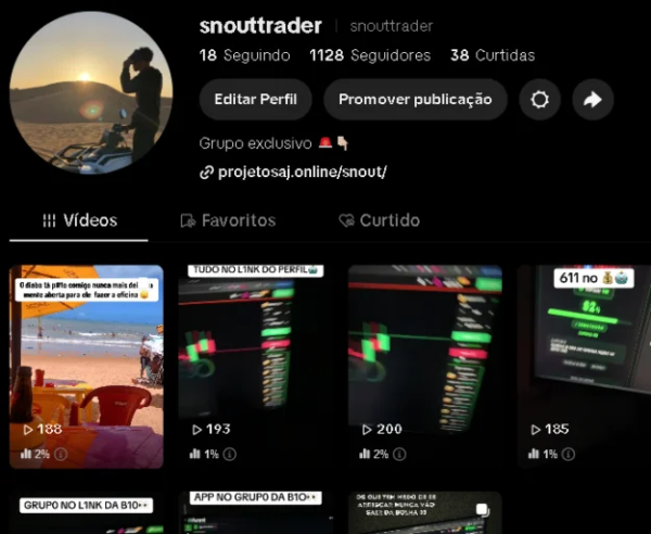 Conta Tiktok de Outros com 1K+ Seguidores | Alto Engajamento • Muito Ativa