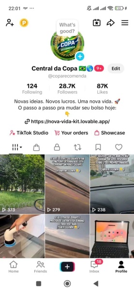 Conta Tiktok de Outros com 28K+ Seguidores | Alto Engajamento • Muito Ativa