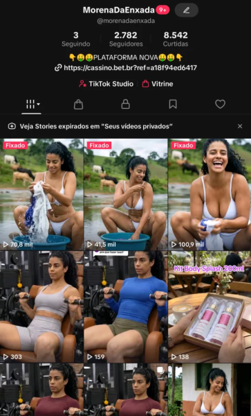 Conta Tiktok de Outros com 2K+ Seguidores | Alto Engajamento