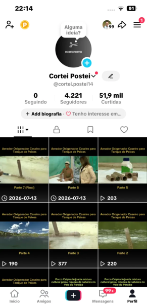 Conta Tiktok de Outros com 4K+ Seguidores | Alto Engajamento • Muito Ativa