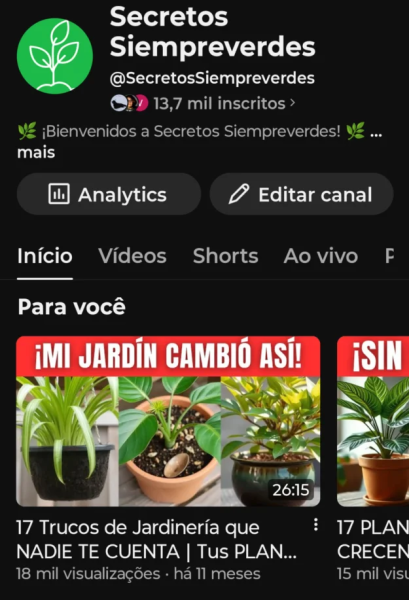 Conta YouTube de Outros com 13K+ Inscritos | Alto Engajamento • Muito Ativa